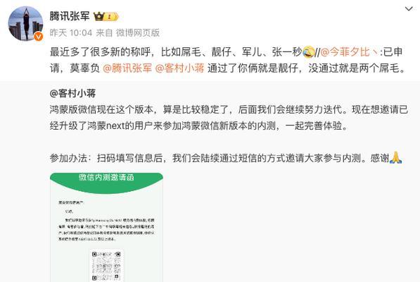 在苹果设备上安装Windows10的影响（苹果设备安装Windows10的关键细节）-第3张图片-数码深度