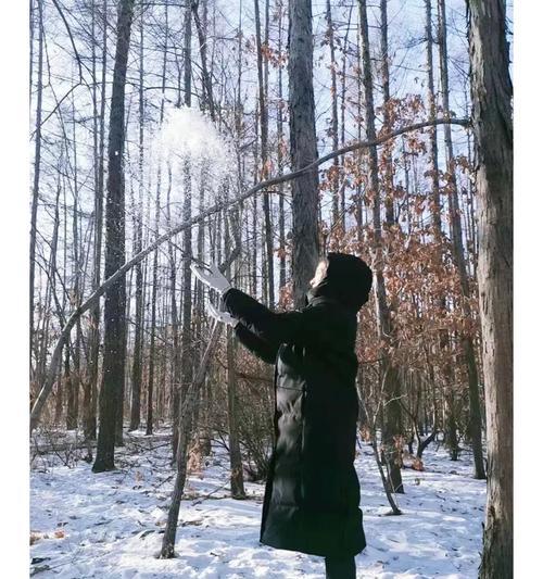 以自然派手机怎么样（探索自然派手机的功能与特点）-第2张图片-数码深度