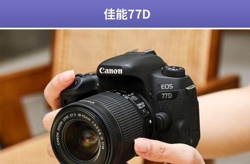 拍照神器80D搭配501.8，释放摄影潜能（探索佳能80D与501.8镜头的默契配合，开启卓越摄影之旅）-第3张图片-数码深度