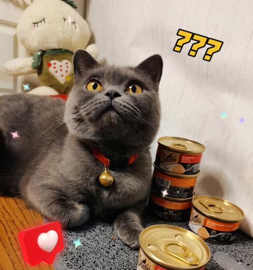 揭秘俄罗斯猫罐头的味道与口感（探索俄罗斯猫罐头独特的食材与制作工艺）-第1张图片-数码深度