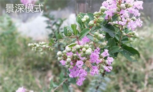 深夜中的色彩盛宴——探索r11夜间拍摄的美妙之处（探寻r11夜间拍摄的独特色彩魅力）-第2张图片-数码深度