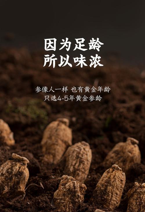 以康复为主题的品牌力如何打造？（深入探究康复品牌的关键要素与实施策略）-第2张图片-数码深度