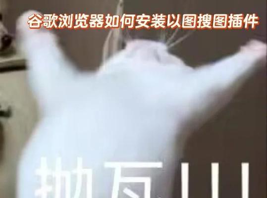 谷歌浏览器兼容性设置（探索谷歌浏览器的兼容性设置，以优化您的浏览体验）-第3张图片-数码深度