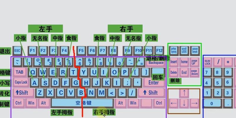 电脑健盘基础操作教程（提高打字速度，远离键盘疲劳）-第2张图片-数码深度
