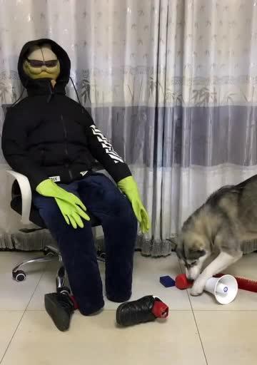 哈士奇是如何拆解电脑屏幕的？（学习哈士奇拆解电脑屏幕的简易教程）-第2张图片-数码深度