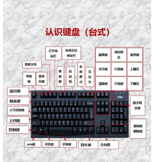 新手教程（掌握关键技巧，轻松打造精美演示文稿）-第2张图片-数码深度