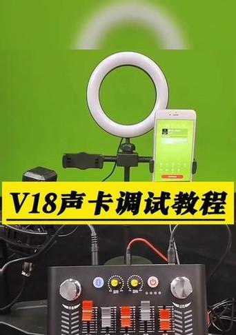 海蓝芷电脑声卡使用教程（详细介绍如何正确配置和使用海蓝芷电脑声卡）-第1张图片-数码深度