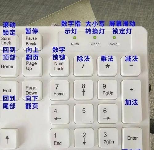电脑小白的打字技巧教程（从零基础到熟练掌握，轻松提升打字速度）-第2张图片-数码深度