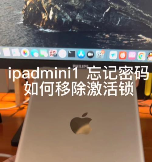 如何解决苹果电脑修改iPad密码错误的问题（一键重置iPad密码，轻松解决疑惑）-第2张图片-数码深度