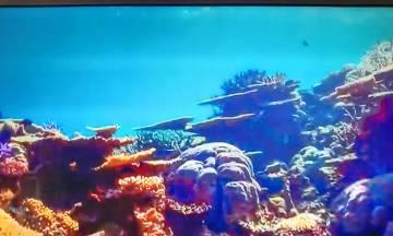 惠普电脑管家激活教程——轻松管理您的电脑（惠普电脑管家激活方法、步骤详解，助您提高电脑使用效率）-第3张图片-数码深度