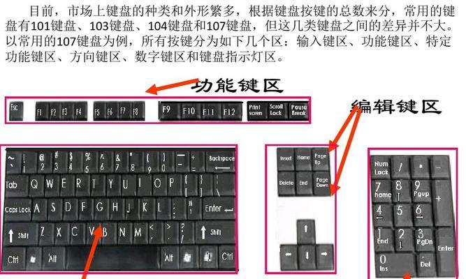 电脑键盘使用教程大全（轻松掌握电脑键盘操作技巧）-第2张图片-数码深度