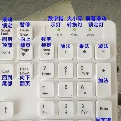 电脑键盘使用教程大全（轻松掌握电脑键盘操作技巧）-第3张图片-数码深度