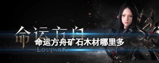 电脑方舟网络错误信息解决方案（解决电脑方舟网络错误的有效方法及技巧）-第1张图片-数码深度