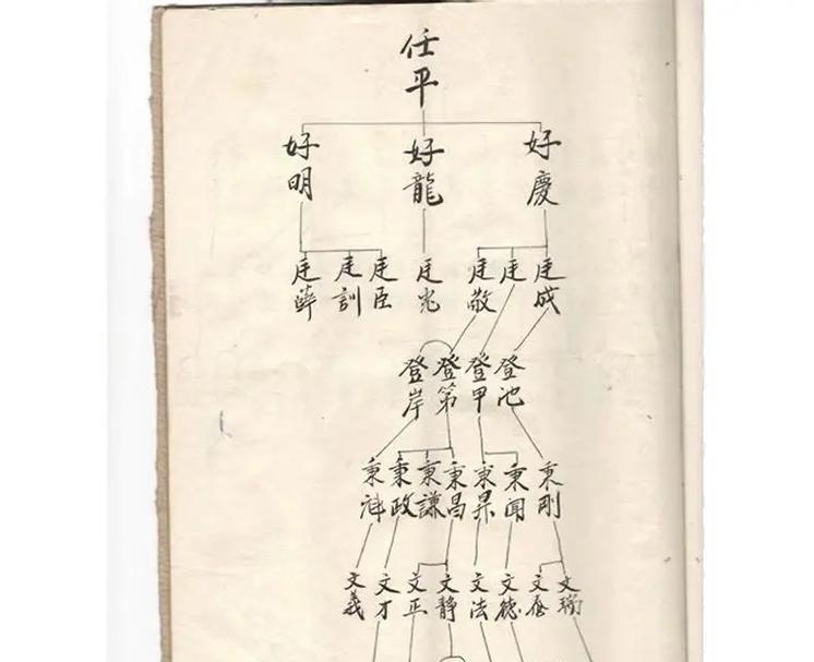 电脑制作族谱的方法教程（使用电脑软件轻松创建详细的家族族谱）-第1张图片-数码深度